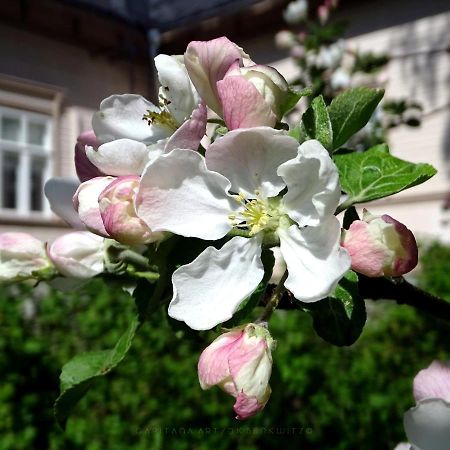 B&B Savikon Kartano Kitee Exterior foto