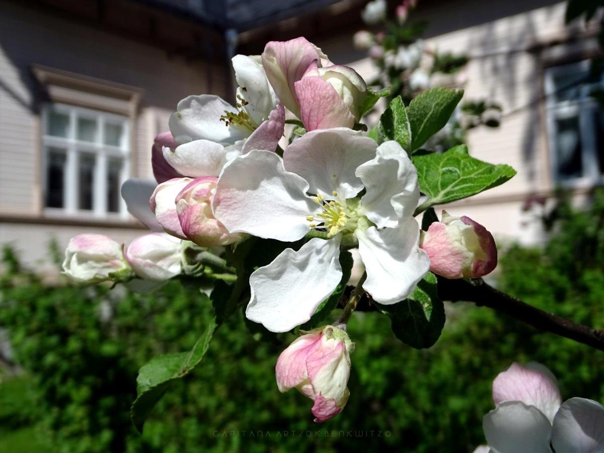 B&B Savikon Kartano Kitee Exterior foto